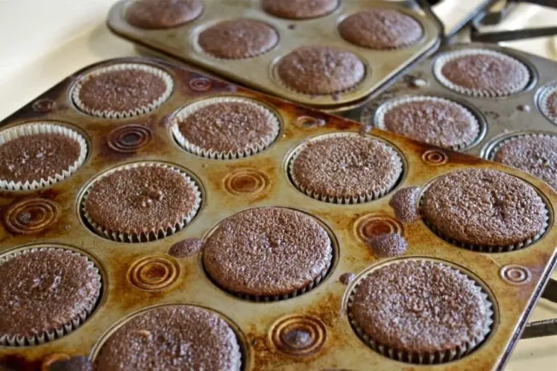 Ovaltine Cupcakes and Frosting