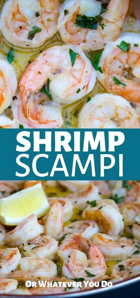 Jumbo Shrimp Scampi