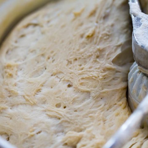 Pizza Dough