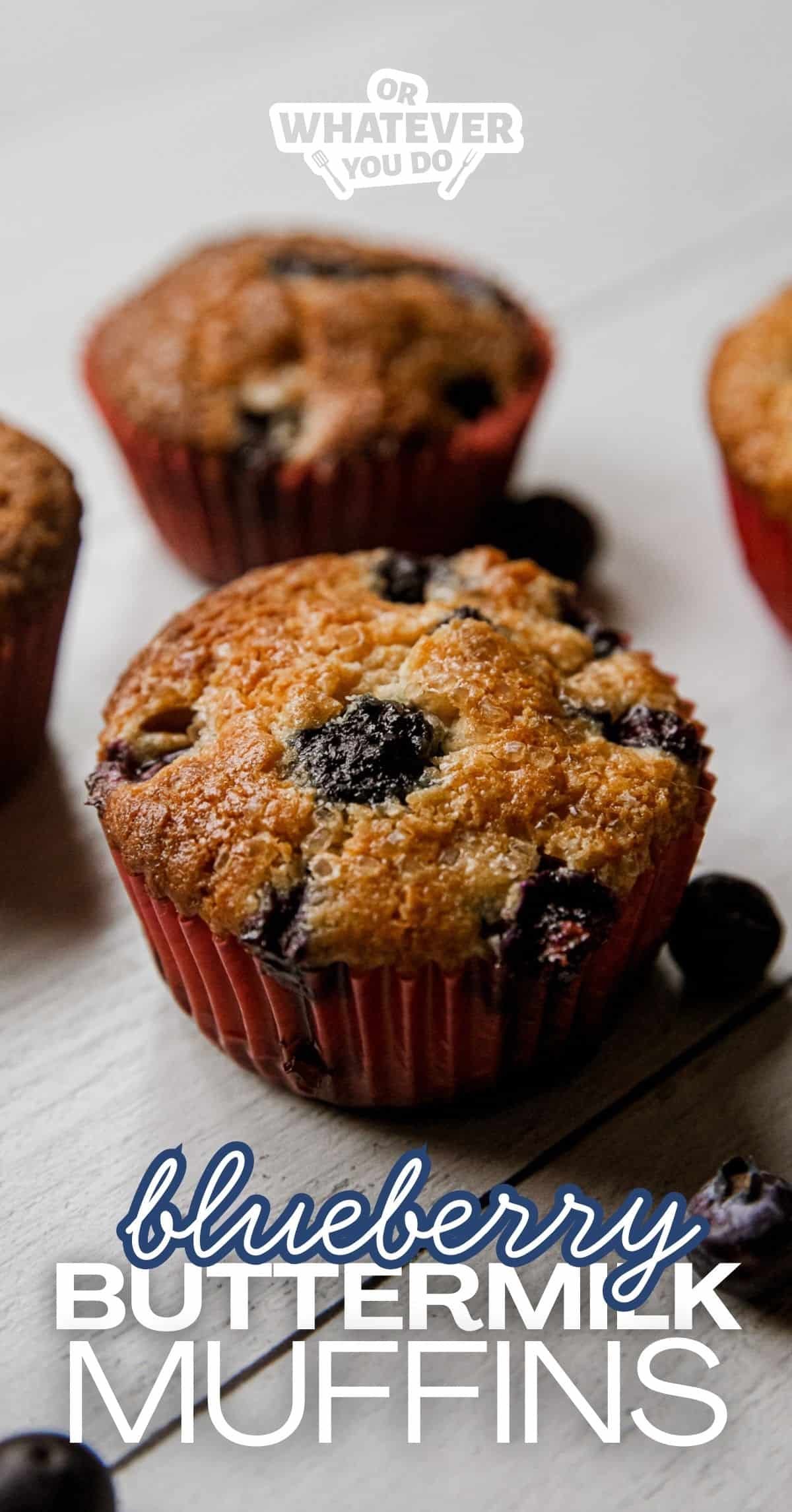 Fresh blueberry muffins in red paper liners with blueberries around them.