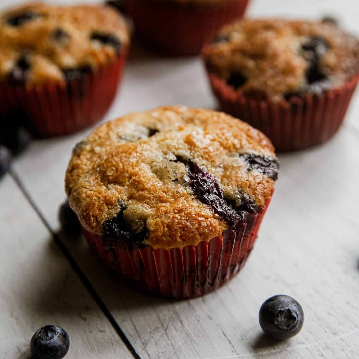 Freshly baked blueberry muffins in red paper liners with blueberries nearby.
