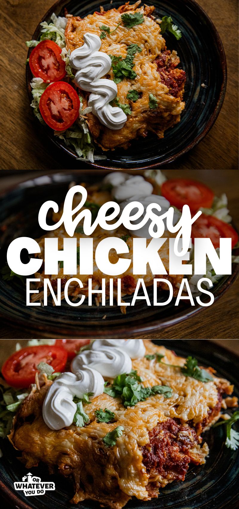 Cheesy Chicken Enchiladas