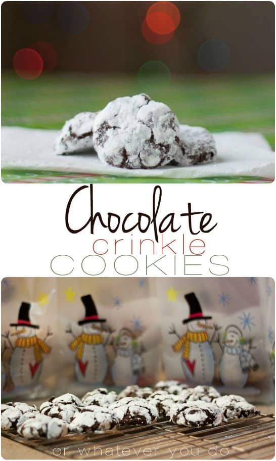 Chocolate Crinkle Cookies