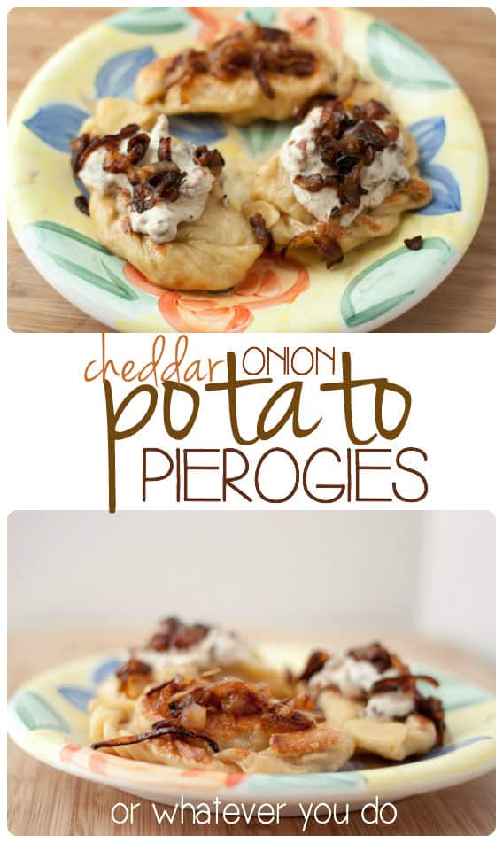 Cheddar Onion Potato Pierogies 