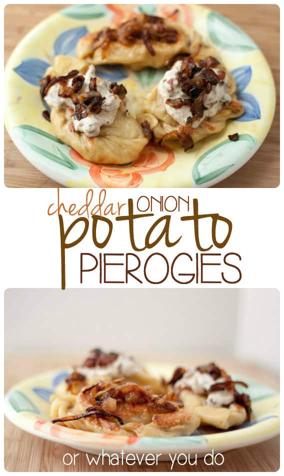 Caramelized Onion, Cheddar, and Potato Pierogies