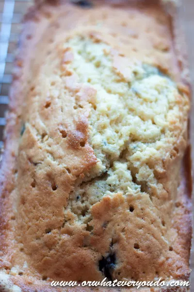 Meyer Lemon Blueberry Bread from OrWhateverYouDo.com