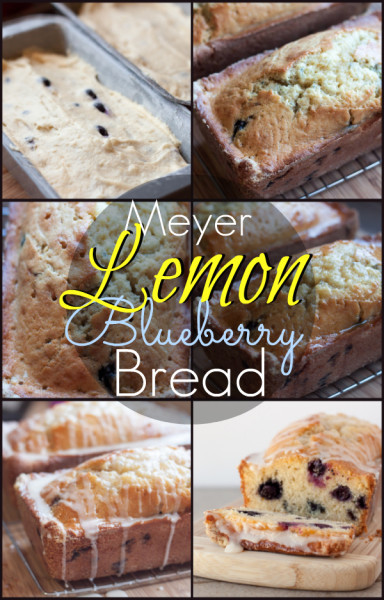 Meyer Lemon Blueberry Bread I www.orwhateveryoudo.com I #breakfast #brunch #recipe
