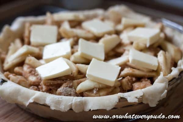 Old Fashioned Apple Pie from OrWhateverYouDo.com