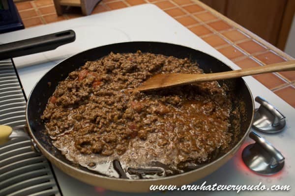 Beef Quesadillas from OrWhateverYouDo.com