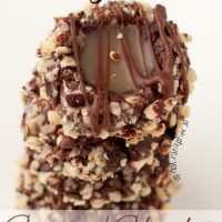 Chocolate Hazelnut Caramel Treasures
