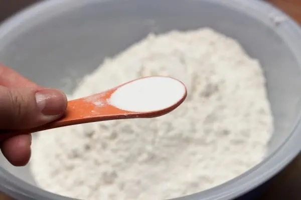 Chocolate Sugar Cookies