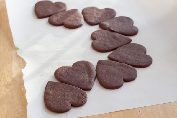 Chocolate Sugar Cookies