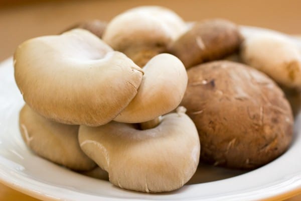 Mushroom Pot Pie I www.orwhateveryoudo.com I #recipe #food #dinner #mushroommakeover