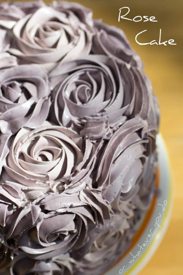 Rose Cake I www.orwhateveryoudo.com I #vanilla #dessert #meringue