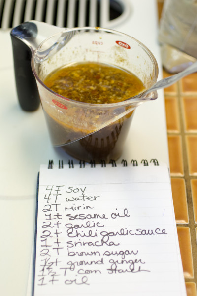 Spicy Chili Garlic Stir fry Sauce Photo