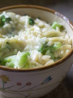 Broccoli Cheese Orzo