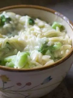 Broccoli Cheese Orzo