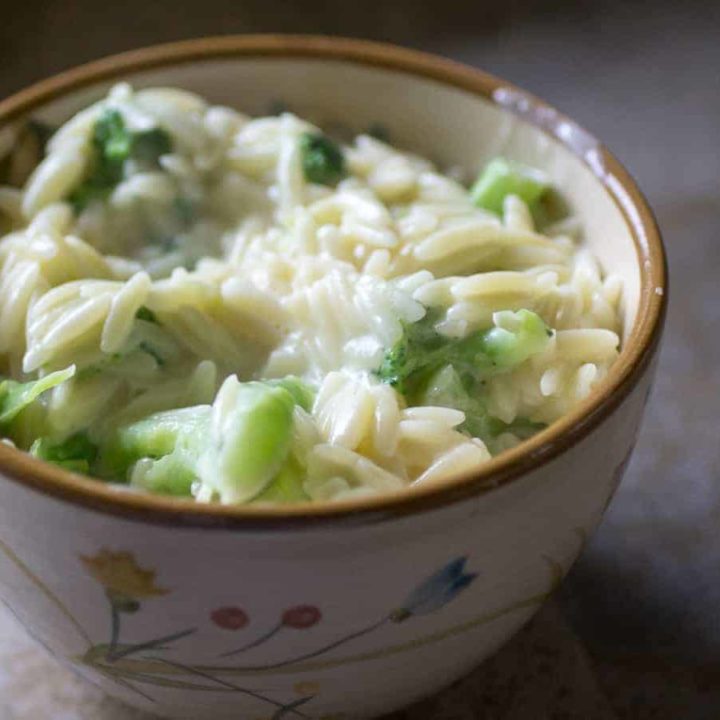 Broccoli Cheese Orzo