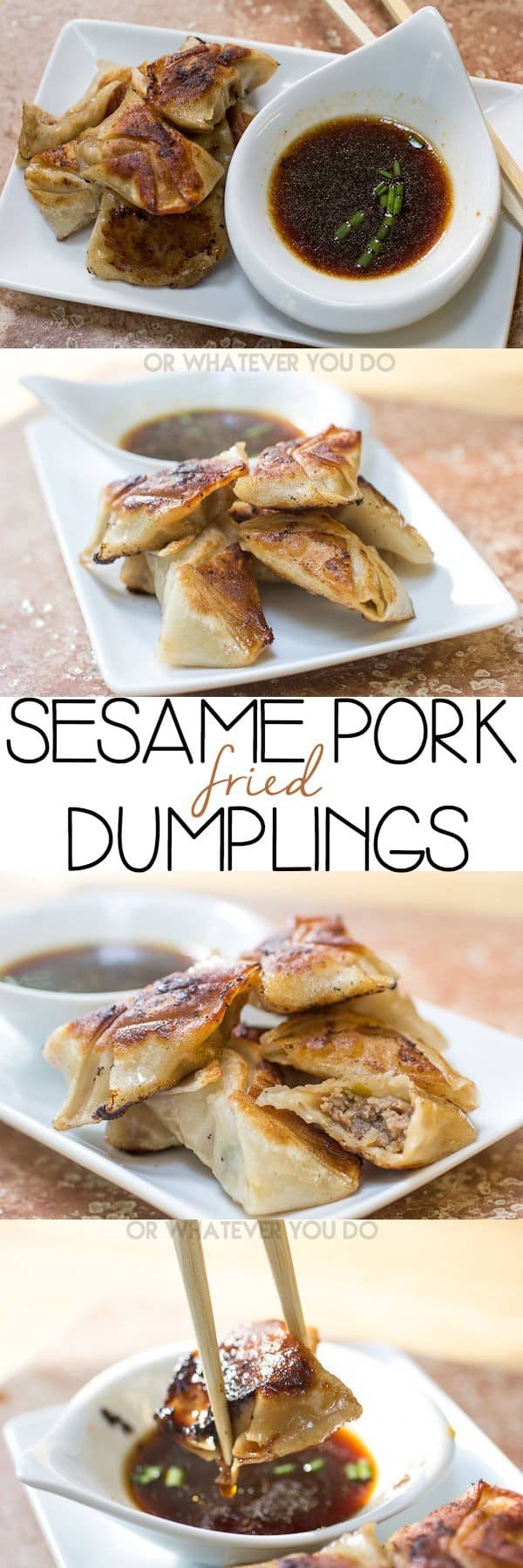 Fried Sesame Pork Dumplings