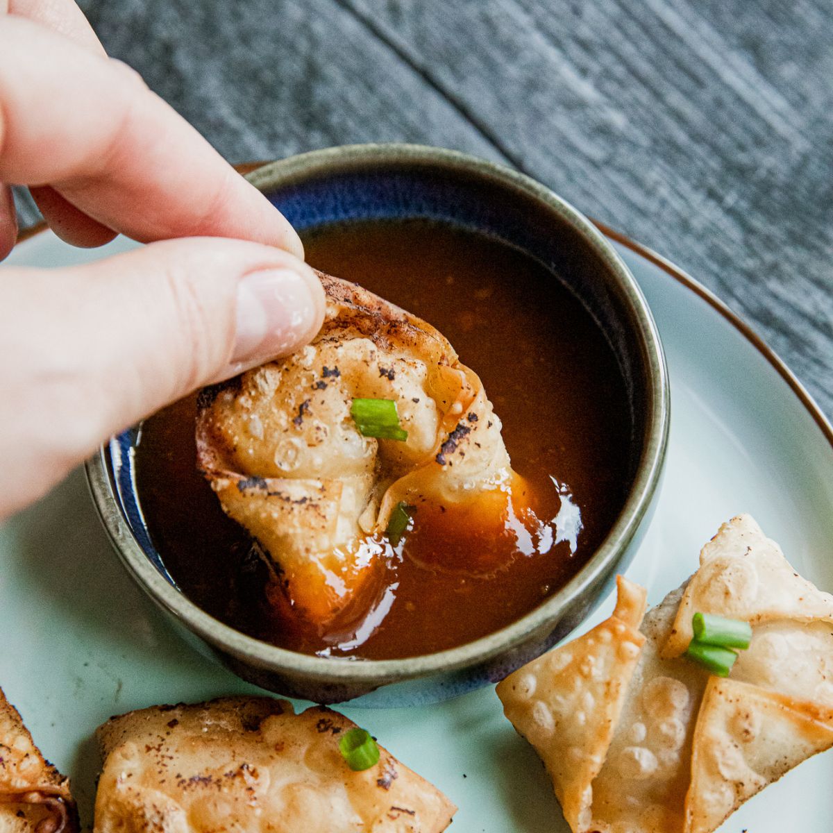 Fried Pork Dumplings