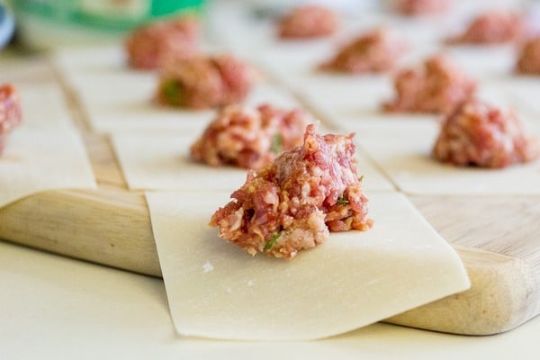 Sesame Pork Fried Dumplings-2