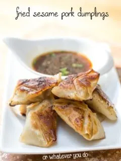 Sesame Pork Fried Dumplings