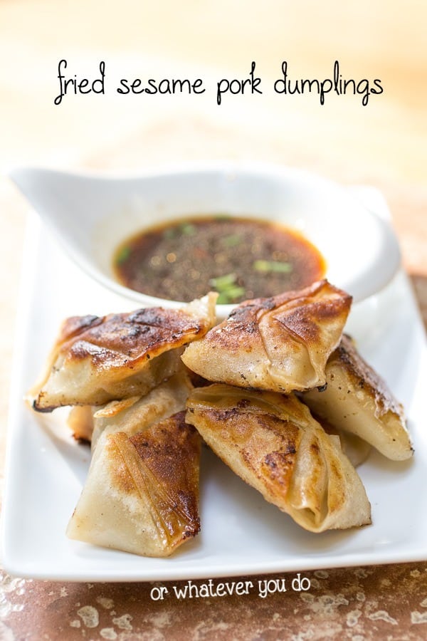 Sesame Pork Fried Dumplings