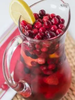 Holiday Wine Spritzer