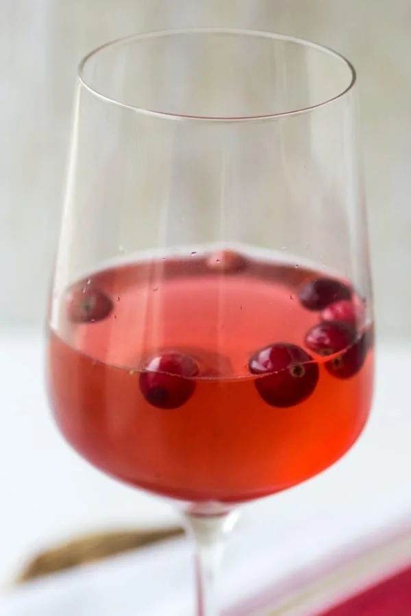 Holiday Wine Spritzer