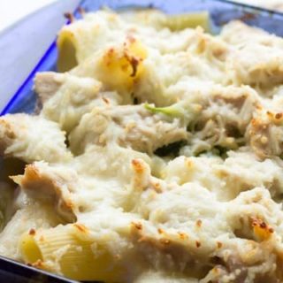 Cheesy Chicken Alfredo Rigatoni
