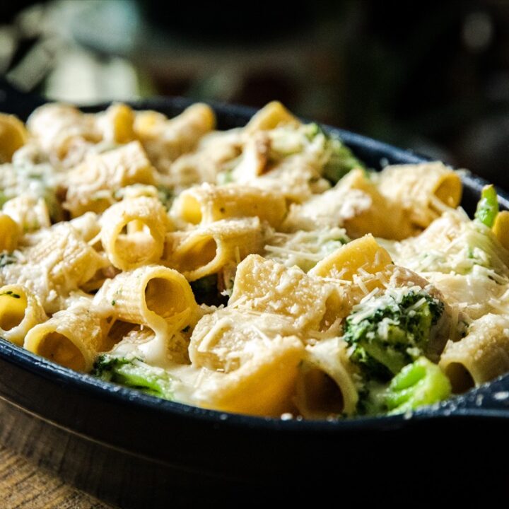 Chicken Alfredo Bake-image