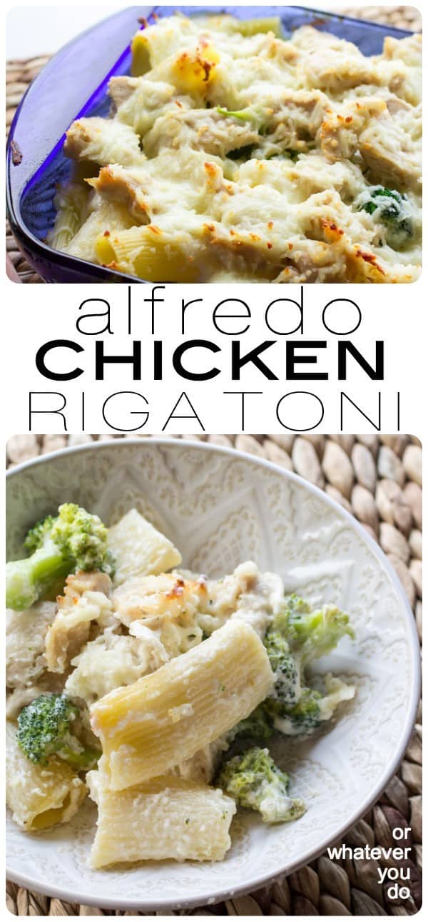 Cheesy Chicken Alfredo Rigatoni 