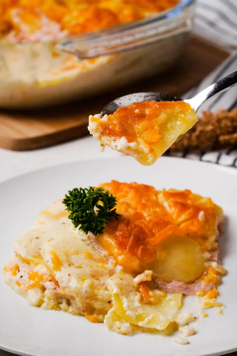 Ham and Scalloped Potato Casserole