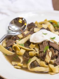 Beef Stroganoff Soup