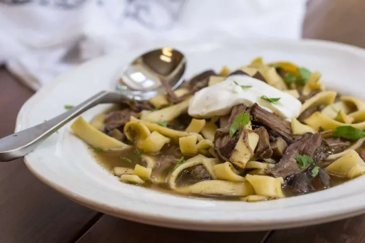 Beef Stroganoff Soup