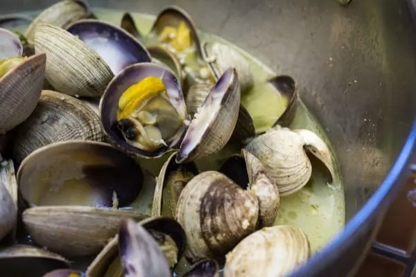 Steamed Clams