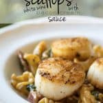 allops with White Wine Garlic Cream Sauce