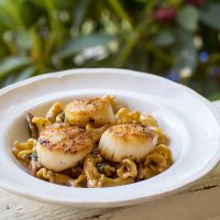 Pan Seared Sea Scallops with White Wine Bacon Cream Sauce