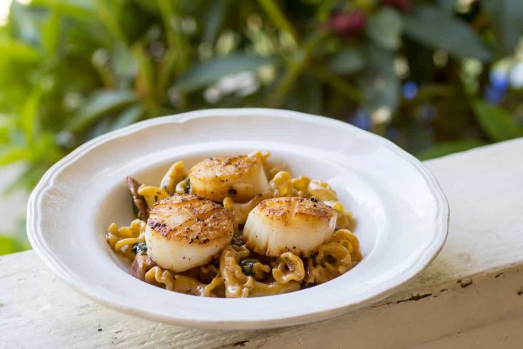 seared sea scallops