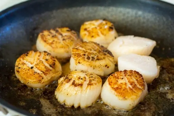 Pan Seared Sea Scallops with White Wine Bacon Cream Sauce