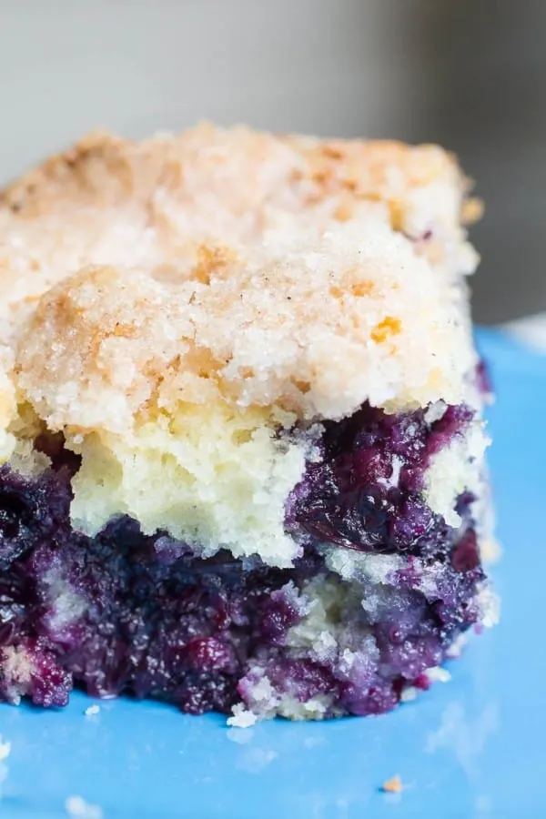 Blueberry Lemon Cornmeal Butter Cake-8