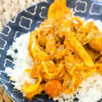 Korean Spicy Stir Fried Chicken and Vegetables