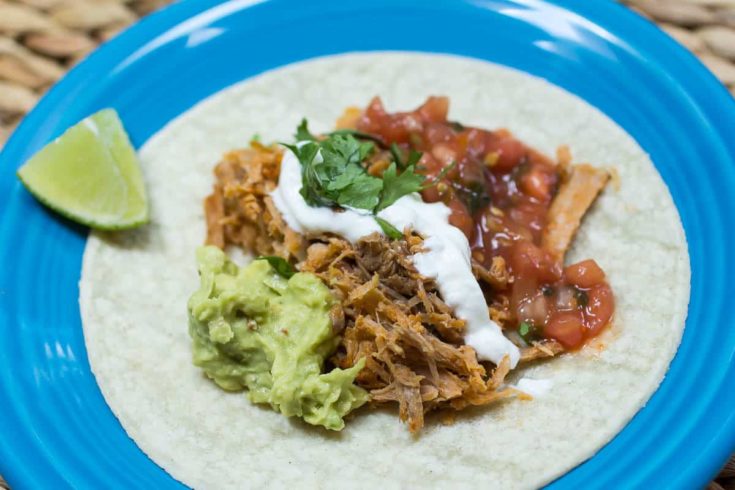 Spicy Carnitas