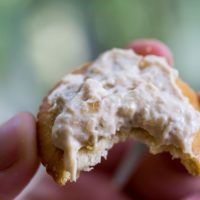 French Onion Dip