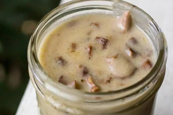 Cream of Mushroom Soup