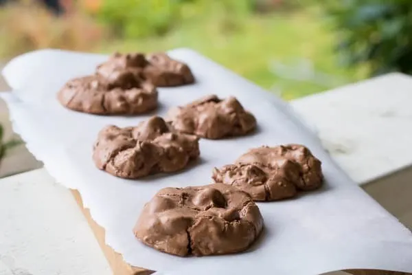 Chocolate Chocolate Chip Cookies