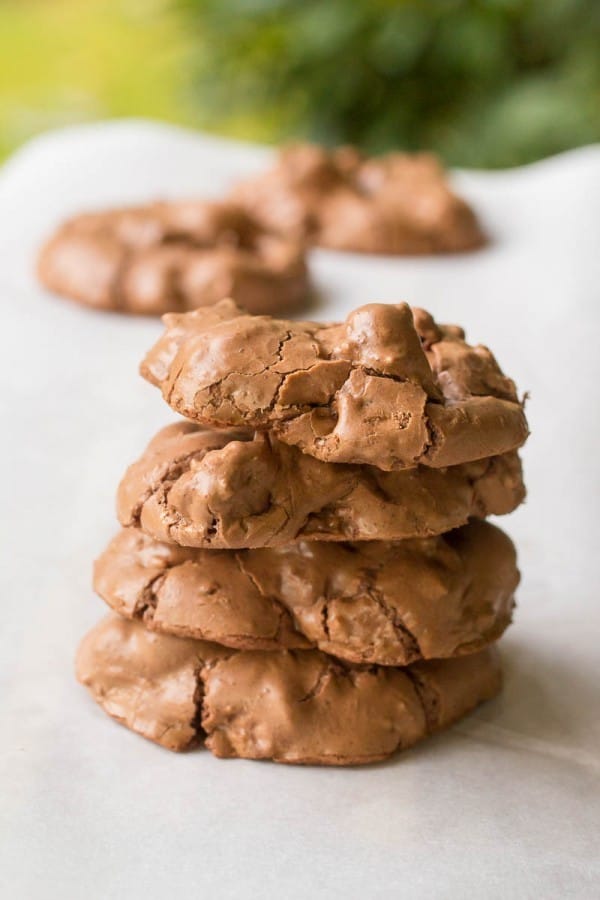 Chocolate Chocolate Chip Cookies