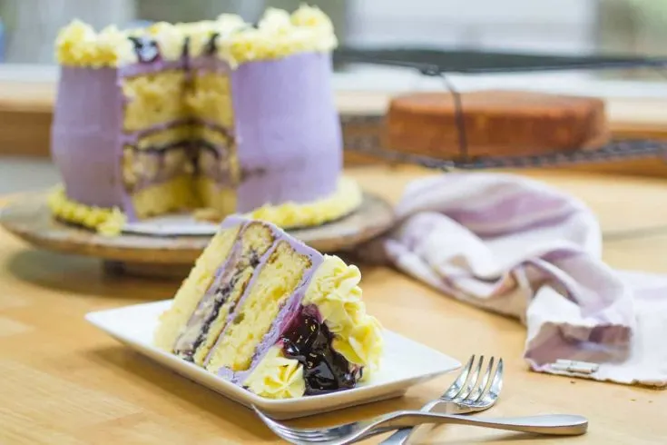 Blueberry Lemon Pudding Cake