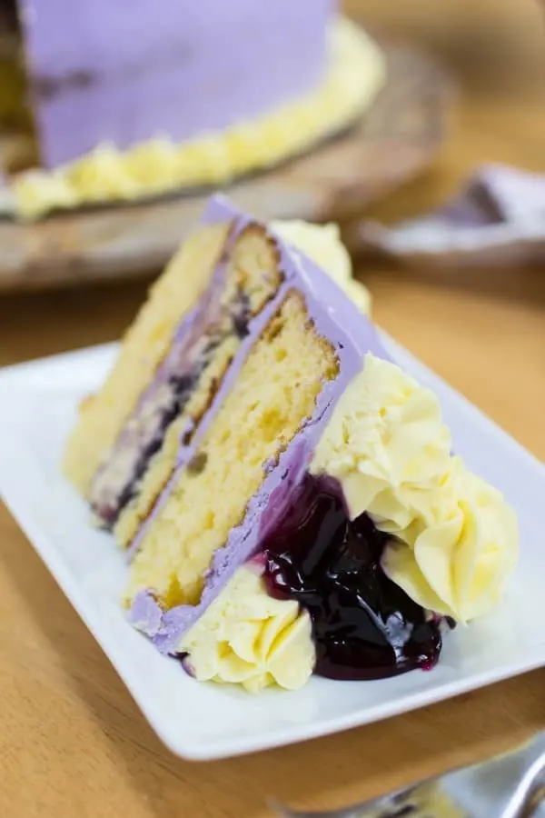 Spring Blueberry Lemon Pudding Cheesecake Cake-91