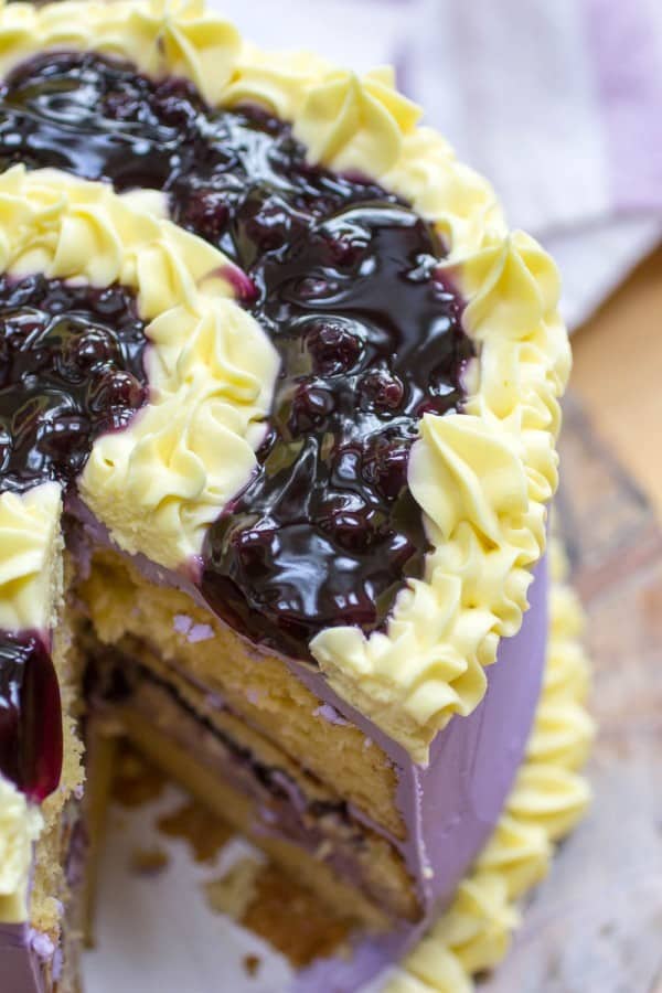Spring Blueberry Lemon Pudding Cheesecake Cake